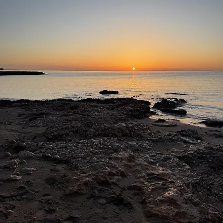 Aqui Cabe Hasta Tu Perro A Un Paso Del Mar! Sant Carlos de la Ràpita